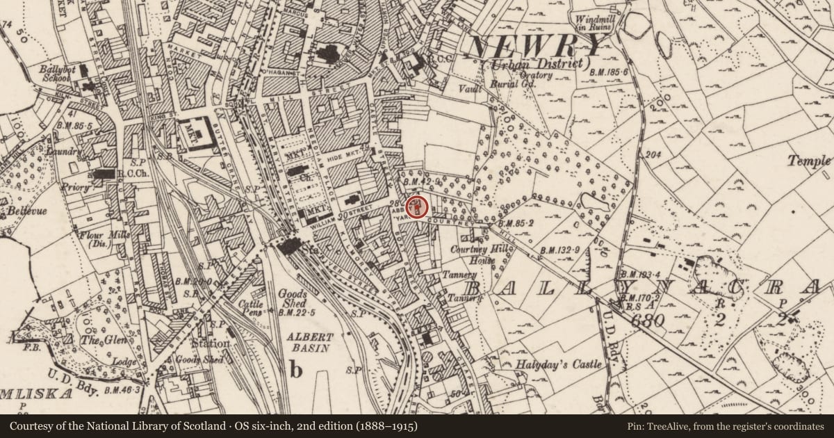 Ordnance Survey six-inch map, 2nd edition (1888–1915) covering the location of Patrick Murphy and Sons, Ballinacraig, Newry, Mourne and Down, with a pin at the register's coordinates