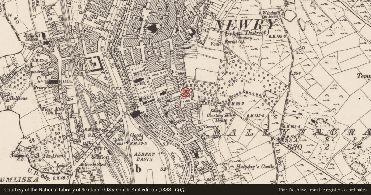 Ordnance Survey six-inch map, 2nd edition (1888–1915) covering the location of 8 Abbey Yard, Ballinacraig, Newry, Mourne and Down, with a pin at the register's coordinates