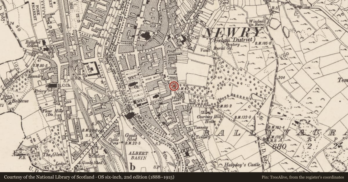 Ordnance Survey six-inch map, 2nd edition (1888–1915) covering the location of The Master's House, Ballinacraig, Newry, Mourne and Down, with a pin at the register's coordinates