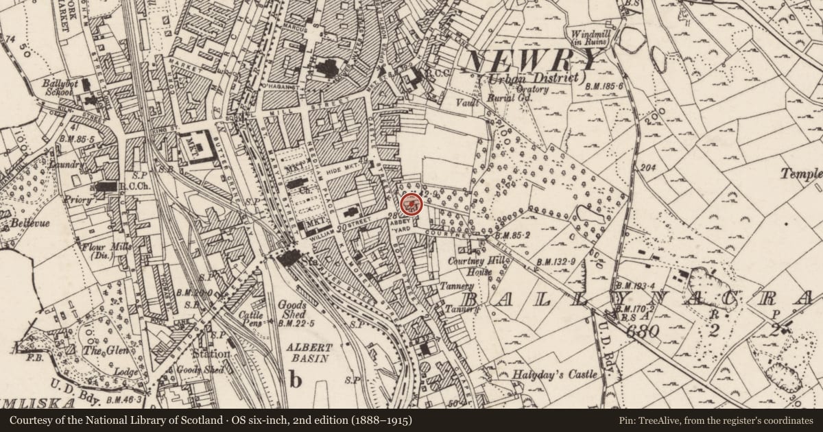 Ordnance Survey six-inch map, 2nd edition (1888–1915) covering the location of University/College Building, Ballinacraig, Newry, Mourne and Down, with a pin at the register's coordinates