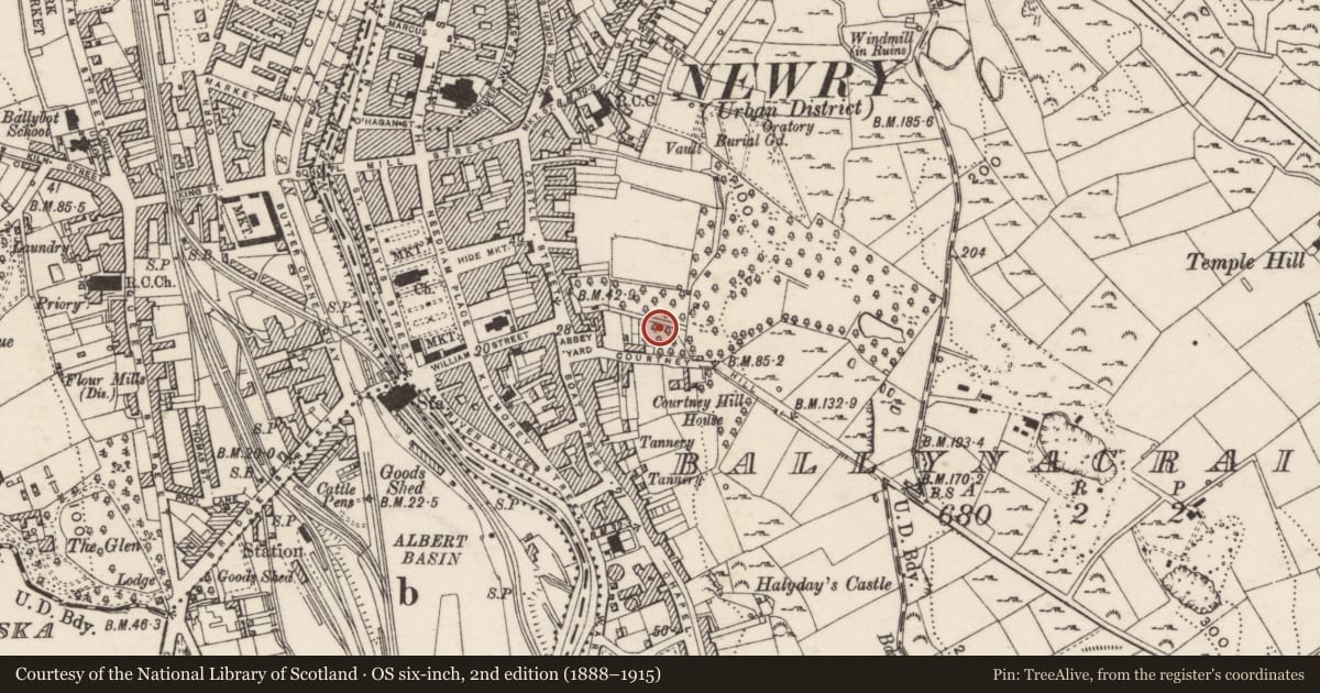 Ordnance Survey six-inch map, 2nd edition (1888–1915) covering the location of St. Colman'S Abbey Primary School, Newry, Mourne and Down, with a pin at the register's coordinates