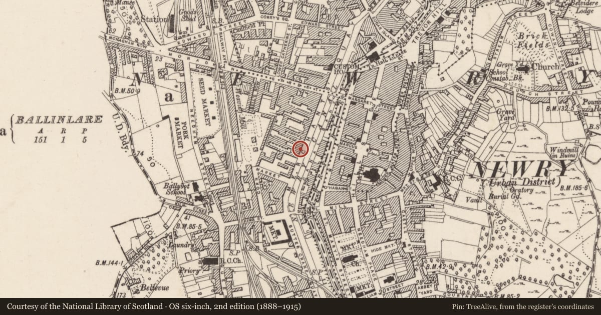 Ordnance Survey six-inch map, 2nd edition (1888–1915) covering the location of 38 & 39 Merchant's Quay, Lisdrumgullion, Newry, Mourne and Down, with a pin at the register's coordinates