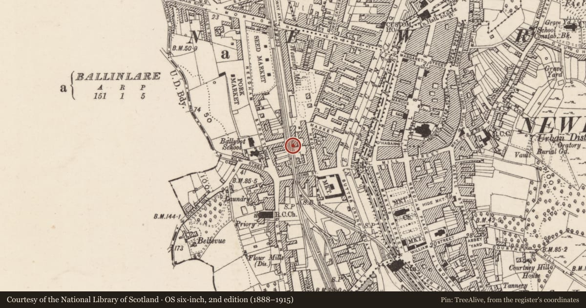 Ordnance Survey six-inch map, 2nd edition (1888–1915) covering the location of A.M. Rentals and M.Y. Fashions, Ballinlare, Newry, Mourne and Down, with a pin at the register's coordinates