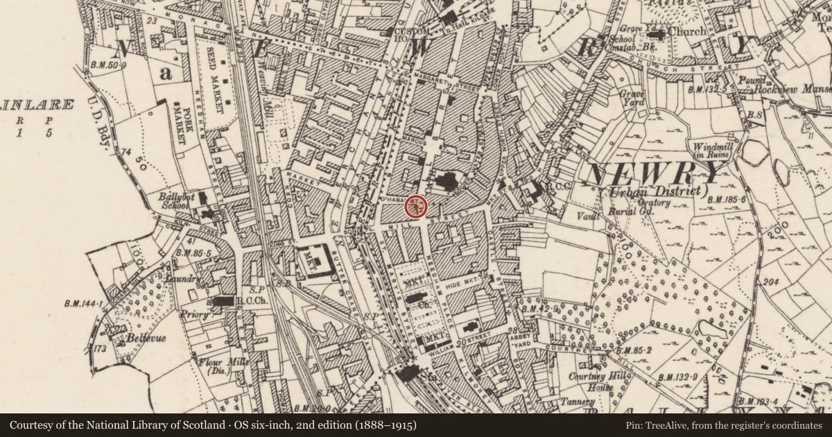 Ordnance Survey six-inch map, 2nd edition (1888–1915) covering the location of Milepost in wall of 30 Hill Street, Ballynacraig, Newry, Mourne and Down, with a pin at the register's coordinates