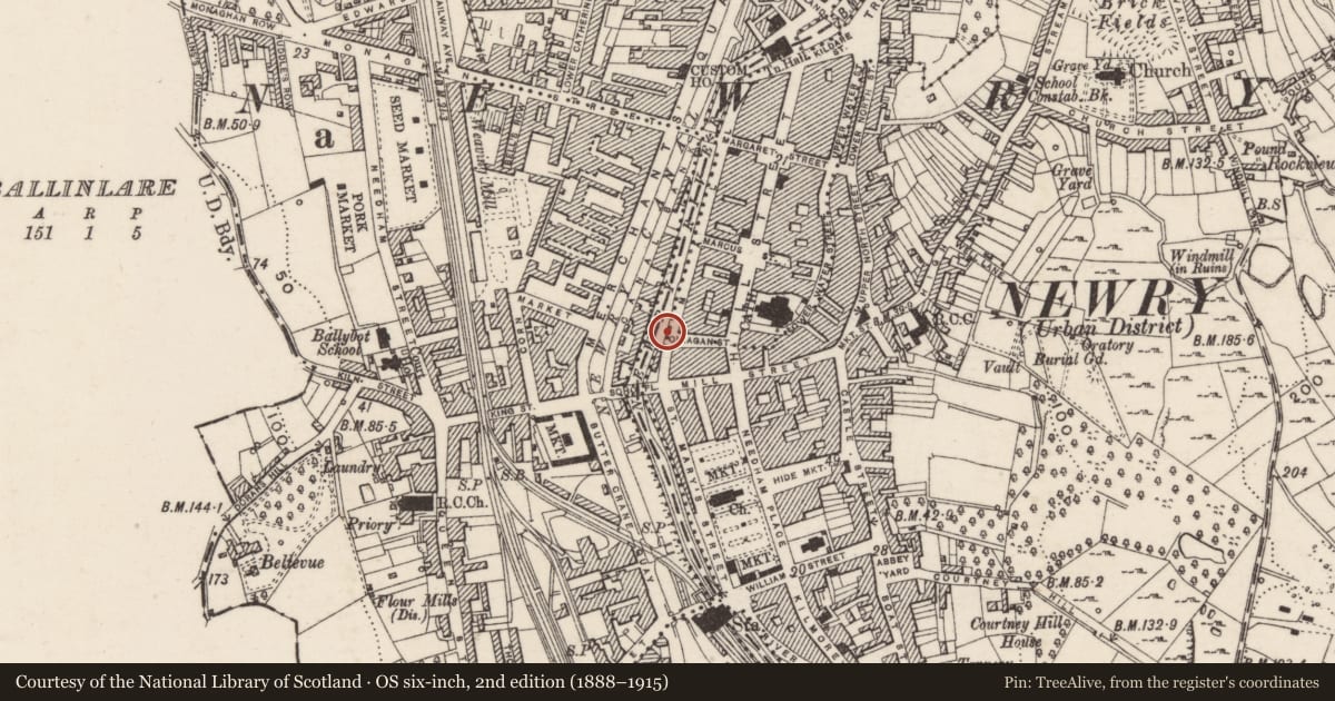Ordnance Survey six-inch map, 2nd edition (1888–1915) covering the location of O'Hagan Bridge, Ballynacraig, Newry, Mourne and Down, with a pin at the register's coordinates