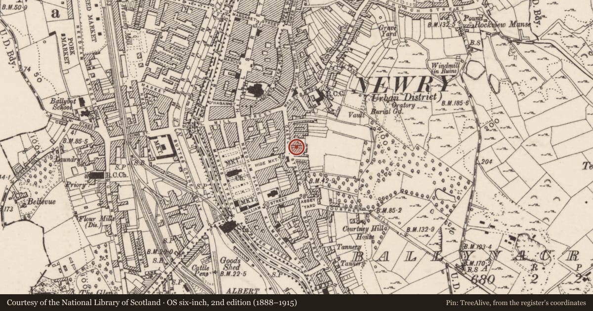 Ordnance Survey six-inch map, 2nd edition (1888–1915) covering the location of McCann’s Bakery, Ballinacraig, Newry, Mourne and Down, with a pin at the register's coordinates