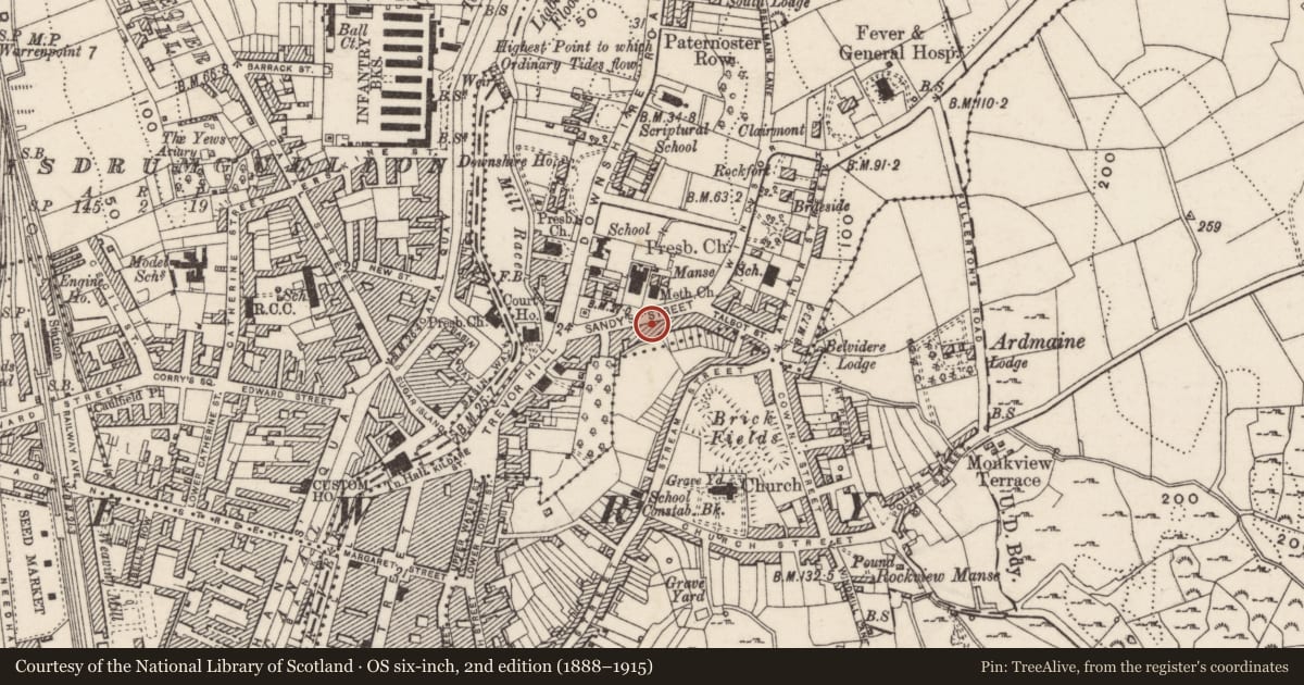 Ordnance Survey six-inch map, 2nd edition (1888–1915) covering the location of 16 Sandys Street, Carneyhough, Newry, Mourne and Down, with a pin at the register's coordinates