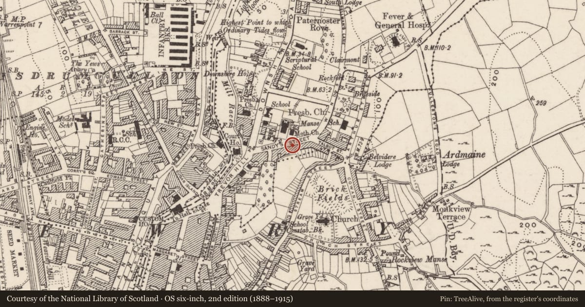 Ordnance Survey six-inch map, 2nd edition (1888–1915) covering the location of 17 Sandys Street, Carneyhough, Newry, Mourne and Down, with a pin at the register's coordinates