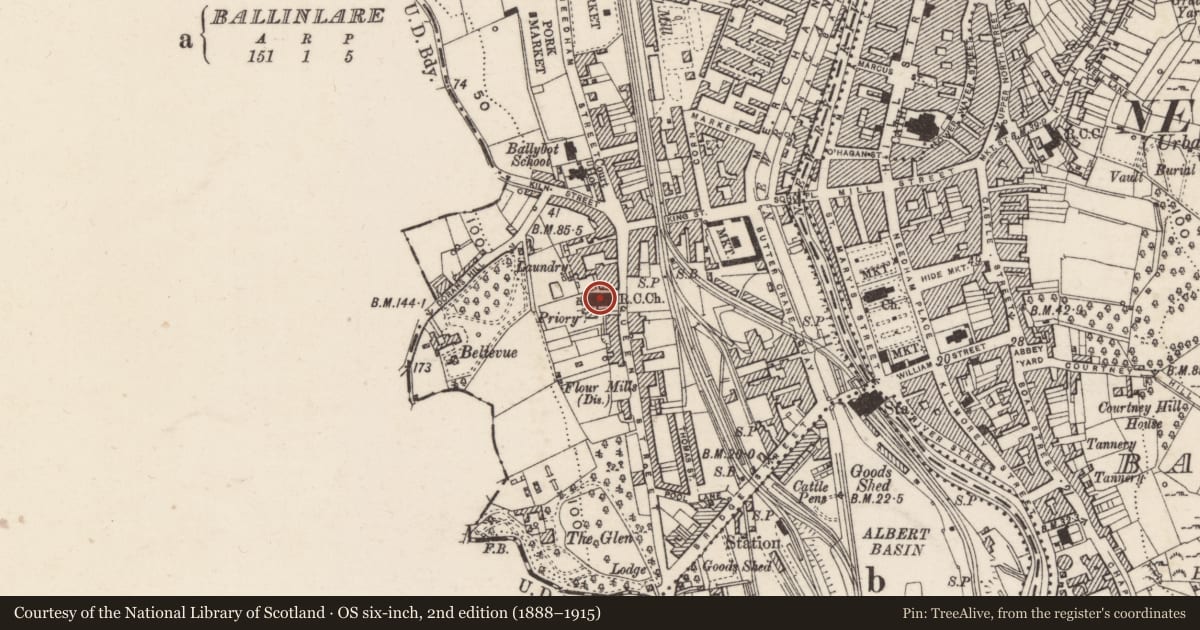 Ordnance Survey six-inch map, 2nd edition (1888–1915) covering the location of St Catherine’s (RC) Church, Ballinlare, Newry, Mourne and Down, with a pin at the register's coordinates