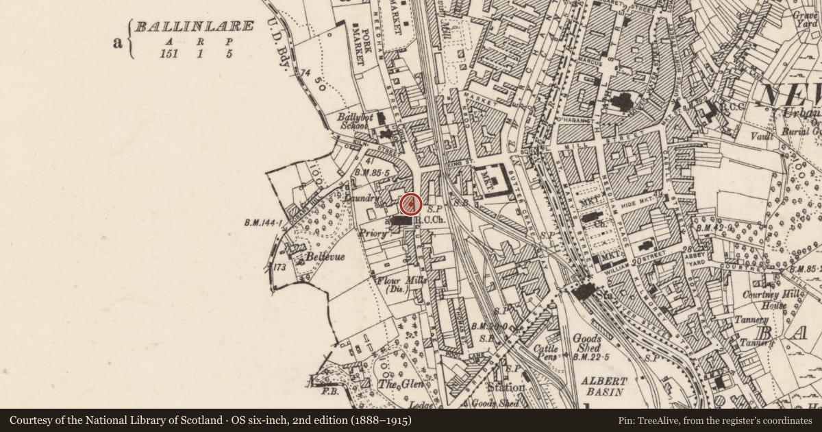 Ordnance Survey six-inch map, 2nd edition (1888–1915) covering the location of South Down Dental Clinic, Ballinlare, Newry, Mourne and Down, with a pin at the register's coordinates