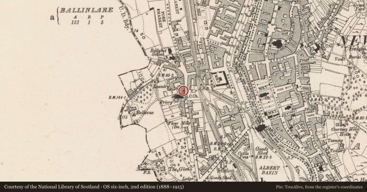 Ordnance Survey six-inch map, 2nd edition (1888–1915) covering the location of 31 Dominic Street, Ballinlare, Newry, Mourne and Down, with a pin at the register's coordinates