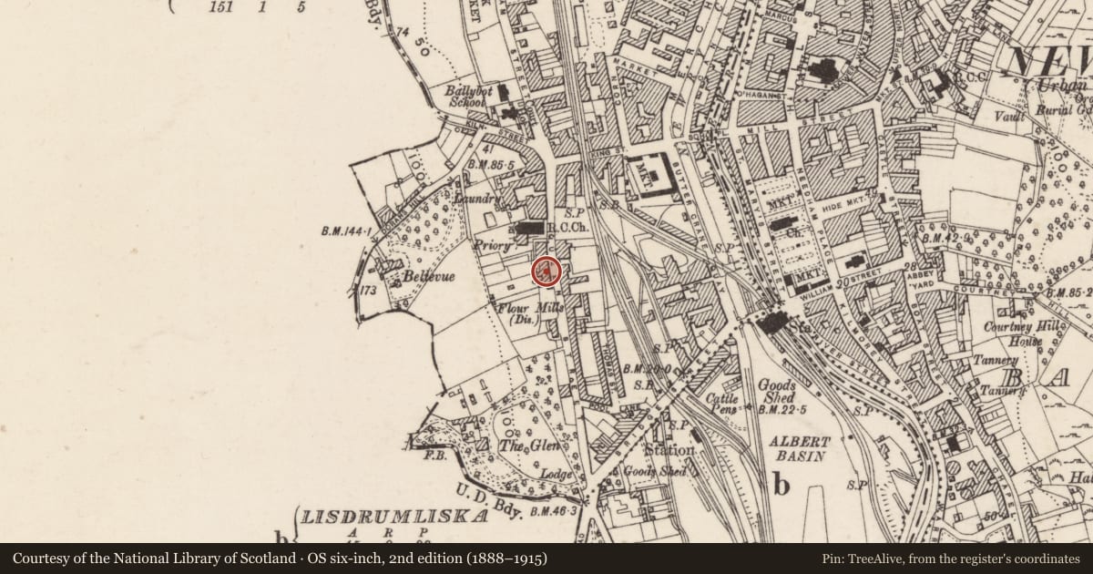 Ordnance Survey six-inch map, 2nd edition (1888–1915) covering the location of Queen Street House, Ballinlare, Newry, Mourne and Down, with a pin at the register's coordinates