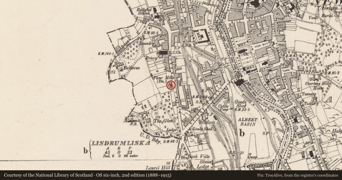 Ordnance Survey six-inch map, 2nd edition (1888–1915) covering the location of 61 Dominic Street, Ballinlare, Newry, Mourne and Down, with a pin at the register's coordinates