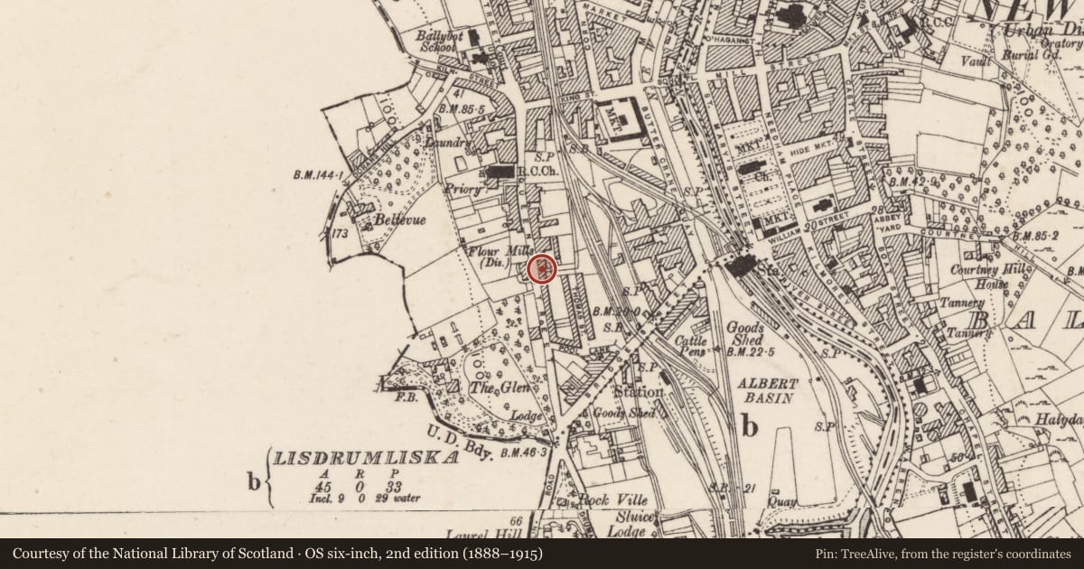 Ordnance Survey six-inch map, 2nd edition (1888–1915) covering the location of 50-54 Dominic Street, Ballinlare, Newry, Mourne and Down, with a pin at the register's coordinates