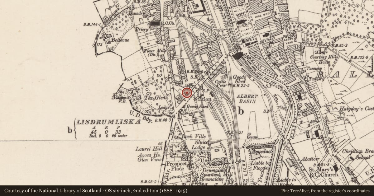 Ordnance Survey six-inch map, 2nd edition (1888–1915) covering the location of 65 Bridge Street, Drumalane, Newry, Mourne and Down, with a pin at the register's coordinates