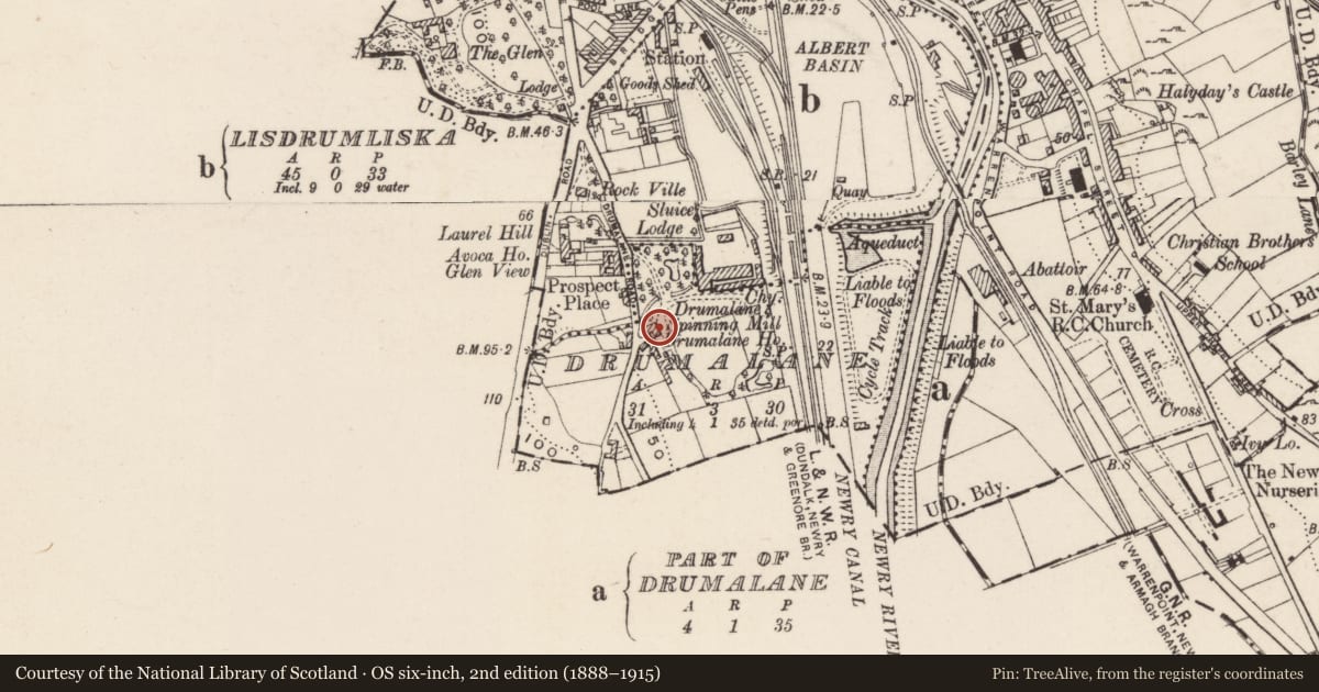 Ordnance Survey six-inch map, 2nd edition (1888–1915) covering the location of Ivybrook Lodge, Drumalane, Newry, Mourne and Down, with a pin at the register's coordinates