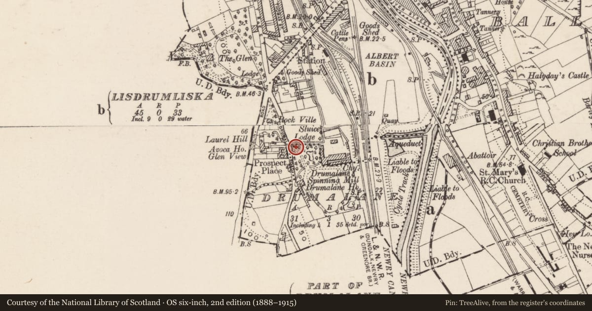 Ordnance Survey six-inch map, 2nd edition (1888–1915) covering the location of Gate Lodge, Drumalane, Newry, Mourne and Down, with a pin at the register's coordinates