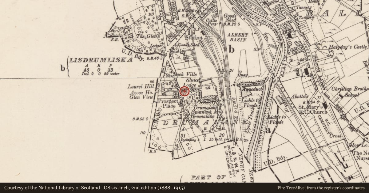 Ordnance Survey six-inch map, 2nd edition (1888–1915) covering the location of Gates & Pillars at Ivybrook Lodge, 20 Drumalane Road, Newry, Co Down BT35 8AP, Newry, Mourne and Down, with a pin at the register's coordinates
