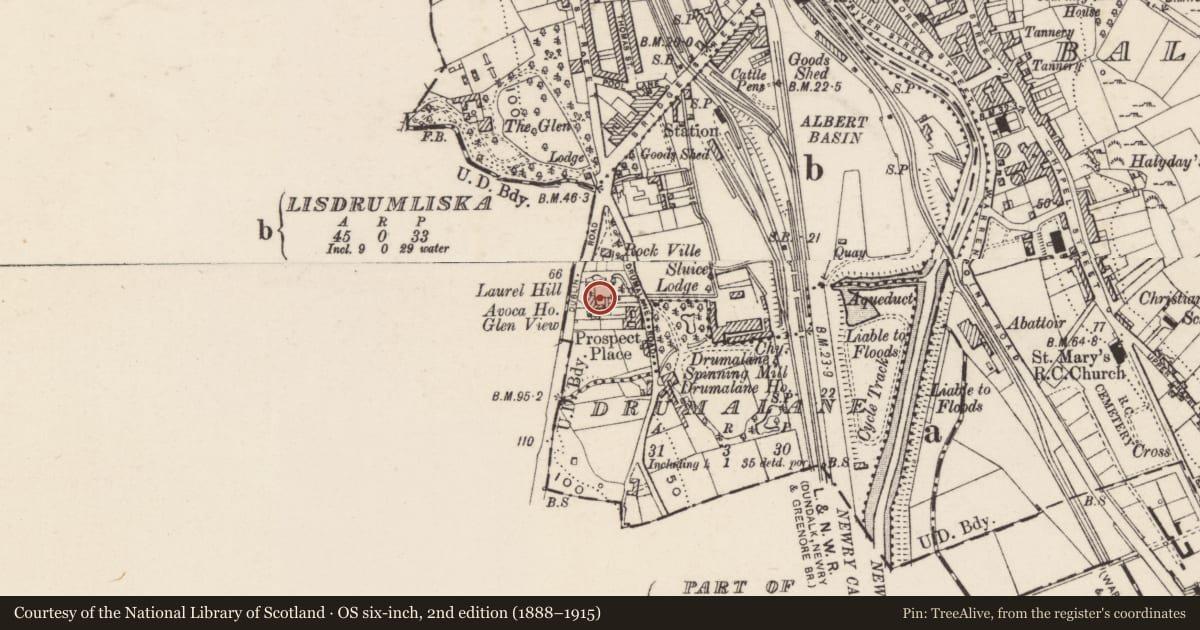 Ordnance Survey six-inch map, 2nd edition (1888–1915) covering the location of Laurel Hill, Lisdrumliska, Newry, Mourne and Down, with a pin at the register's coordinates