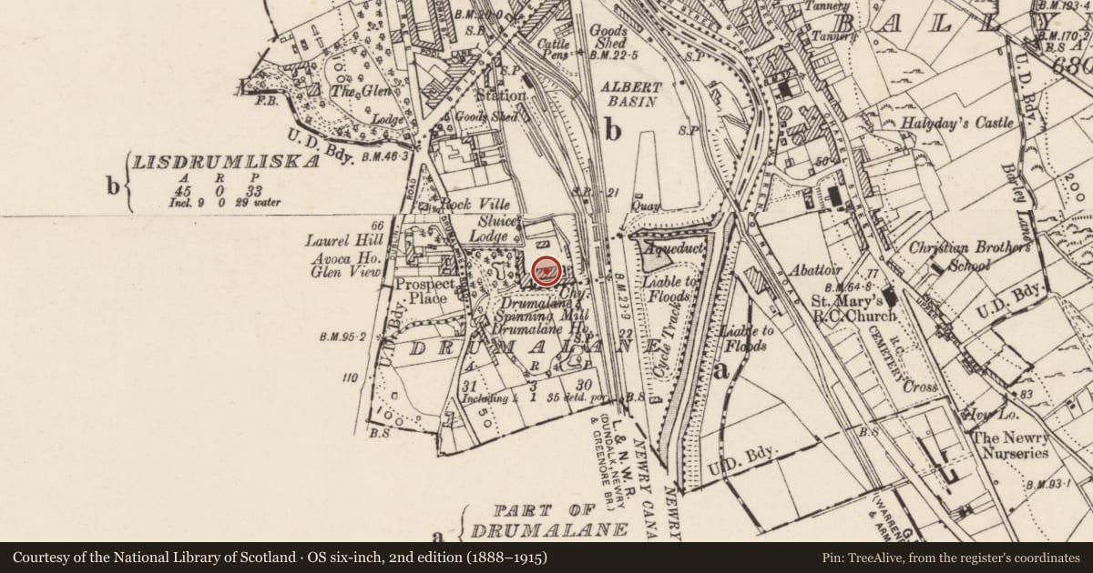 Ordnance Survey six-inch map, 2nd edition (1888–1915) covering the location of Drumalane Mill, Lisdrumliska, Newry, Mourne and Down, with a pin at the register's coordinates
