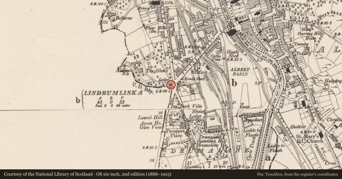 Ordnance Survey six-inch map, 2nd edition (1888–1915) covering the location of Gate piers at The Glen, Ballinlare, Newry, Mourne and Down, with a pin at the register's coordinates