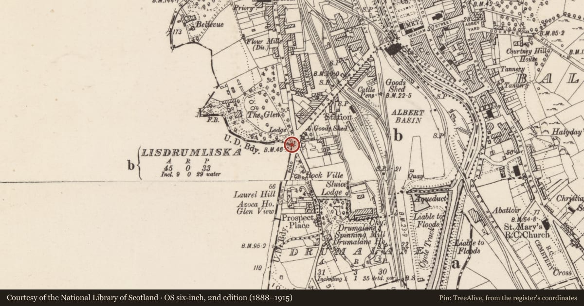 Ordnance Survey six-inch map, 2nd edition (1888–1915) covering the location of Boundary Post, Lisdrumliska, Newry, Mourne and Down, with a pin at the register's coordinates