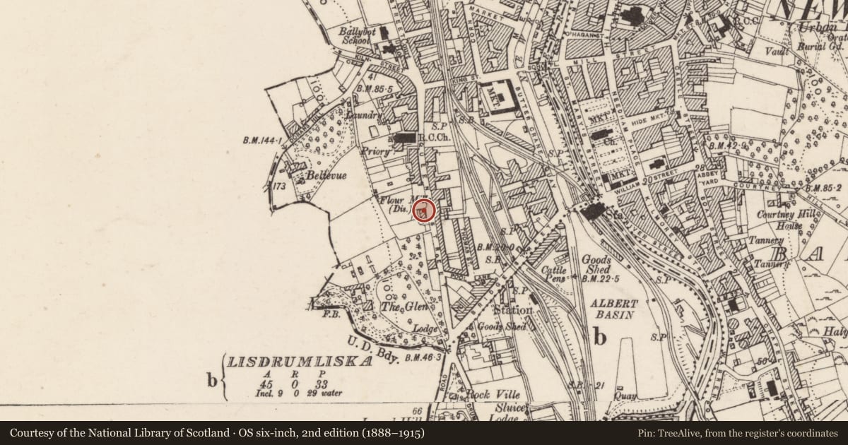 Ordnance Survey six-inch map, 2nd edition (1888–1915) covering the location of 55-59 Dominic Street, Ballinlare, Newry, Mourne and Down, with a pin at the register's coordinates