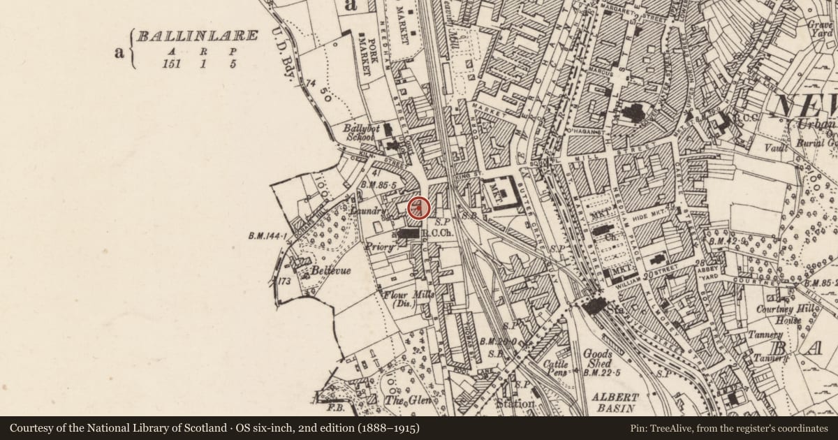 Ordnance Survey six-inch map, 2nd edition (1888–1915) covering the location of 27a Dominic Street, Ballinlare, Newry, Mourne and Down, with a pin at the register's coordinates
