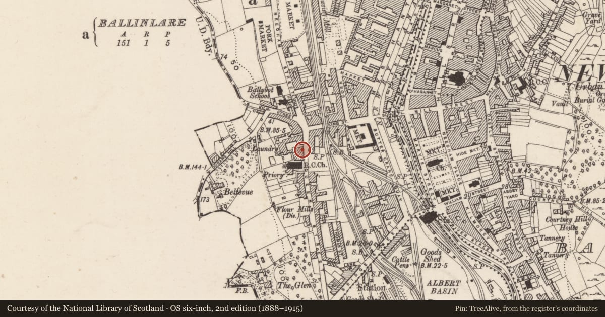 Ordnance Survey six-inch map, 2nd edition (1888–1915) covering the location of 27b Dominic Street, Ballinlare, Newry, Mourne and Down, with a pin at the register's coordinates