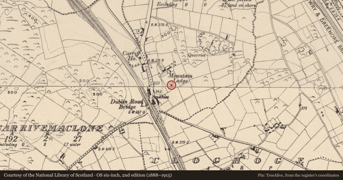 Ordnance Survey six-inch map, 2nd edition (1888–1915) covering the location of Church of the Sacred Heart (RC), Adj. to 134 Dublin Road, Newry, Newry, Mourne and Down, with a pin at the register's coordinates