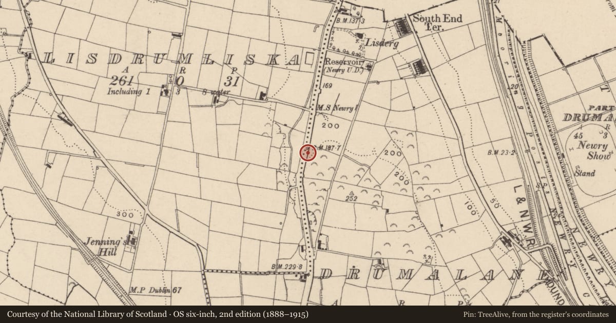 Ordnance Survey six-inch map, 2nd edition (1888–1915) covering the location of St. Leonard's, Drumalane, Newry, Mourne and Down, with a pin at the register's coordinates