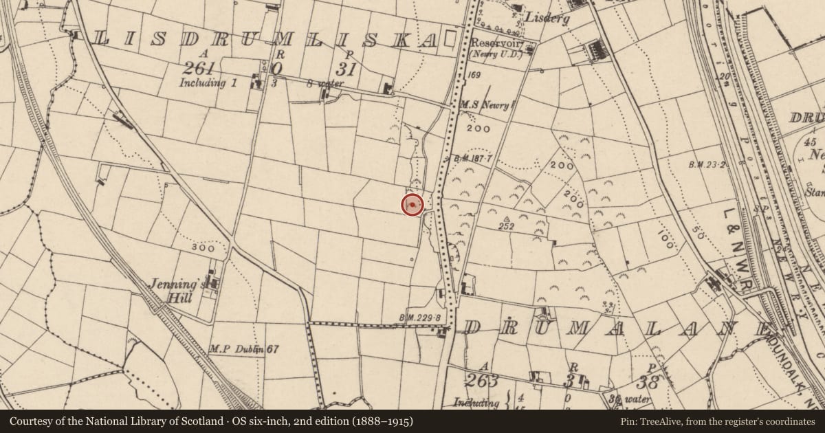 Ordnance Survey six-inch map, 2nd edition (1888–1915) covering the location of San Jose, Lisdrumliska, Newry, Mourne and Down, with a pin at the register's coordinates