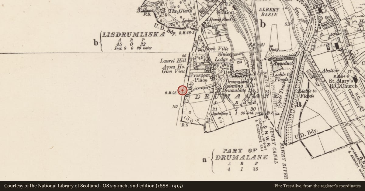 Ordnance Survey six-inch map, 2nd edition (1888–1915) covering the location of 29-45 Dublin Road, Lisdrumliska, Newry, Mourne and Down, with a pin at the register's coordinates