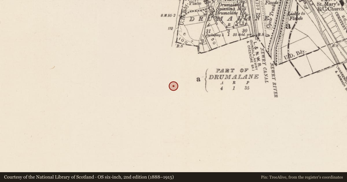 Ordnance Survey six-inch map, 2nd edition (1888–1915) covering the location of Fatima, Drumalane, Newry, Mourne and Down, with a pin at the register's coordinates