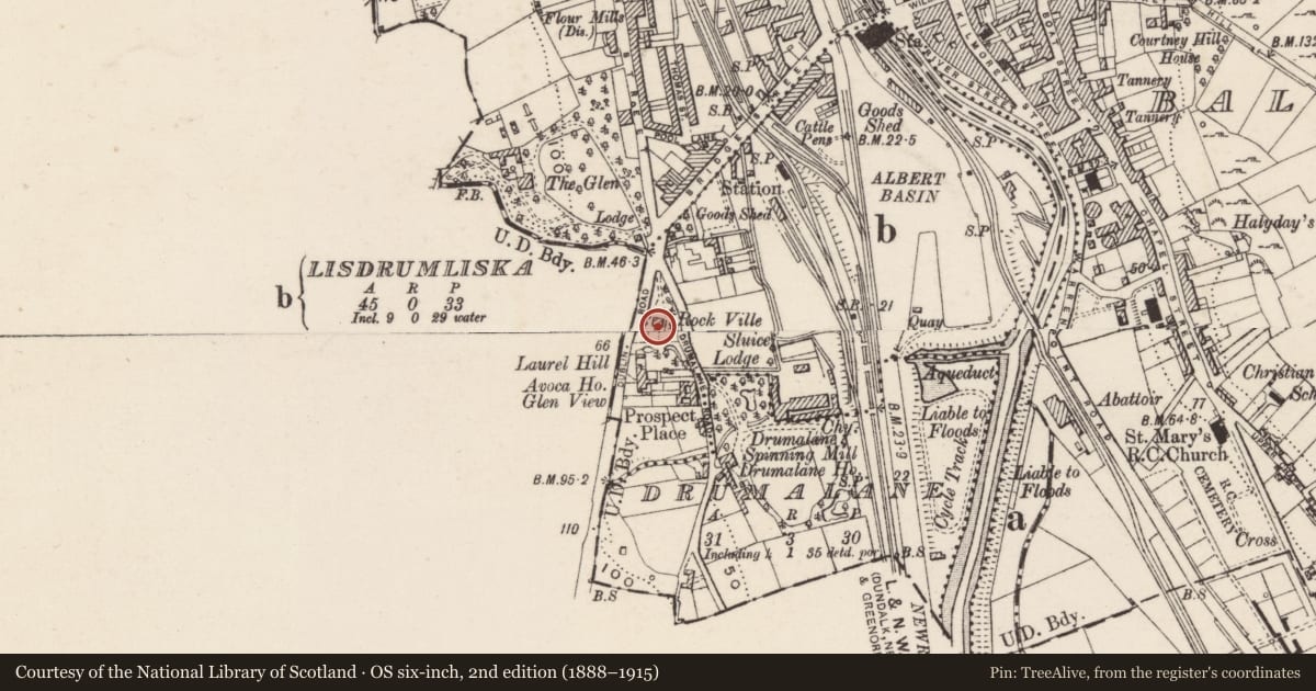 Ordnance Survey six-inch map, 2nd edition (1888–1915) covering the location of St Mary of the Assumption (RC) Church, Lisdrumliska, Newry, Mourne and Down, with a pin at the register's coordinates
