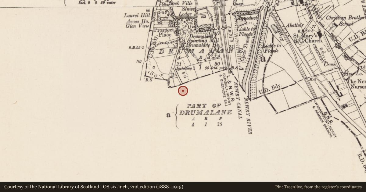 Ordnance Survey six-inch map, 2nd edition (1888–1915) covering the location of 51-61 Dublin Road, Drumalane, Newry, Mourne and Down, with a pin at the register's coordinates