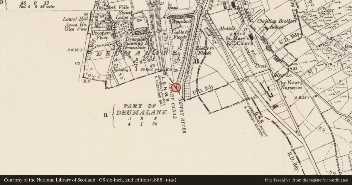 Ordnance Survey six-inch map, 2nd edition (1888–1915) covering the location of Newry Canal, Drumalane, Newry, Mourne and Down, with a pin at the register's coordinates