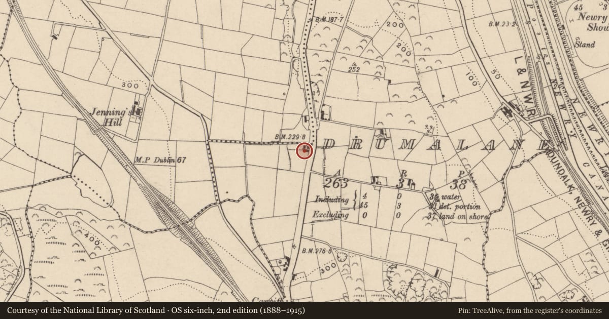 Ordnance Survey six-inch map, 2nd edition (1888–1915) covering the location of 105 Dublin Road, Drumalane, Newry, Mourne and Down, with a pin at the register's coordinates