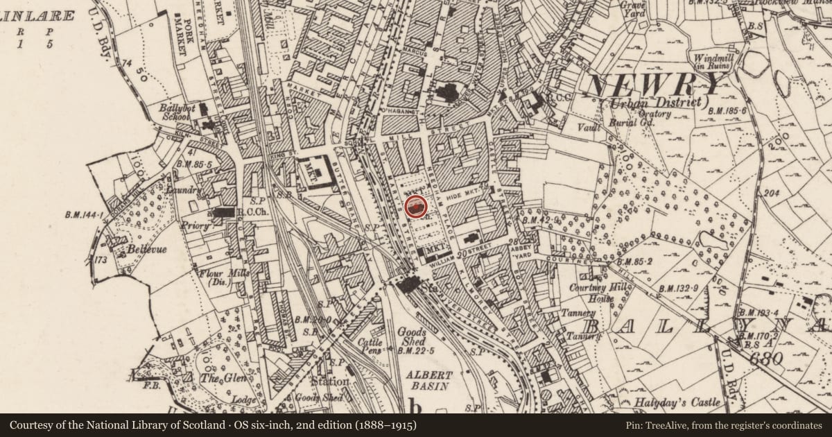 Ordnance Survey six-inch map, 2nd edition (1888–1915) covering the location of Parish Church of St. Mary (C of I), Ballynacraig, Newry, Mourne and Down, with a pin at the register's coordinates