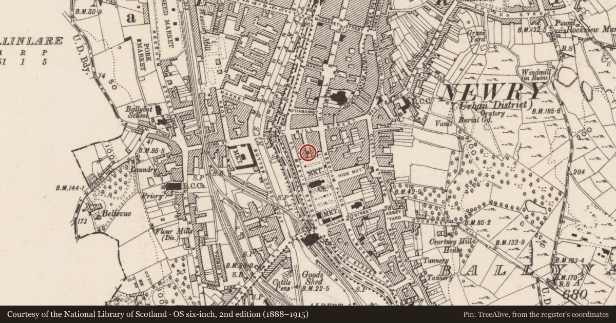 Ordnance Survey six-inch map, 2nd edition (1888–1915) covering the location of Tavey Brothers Drapery, Ballynacraig, Newry, Mourne and Down, with a pin at the register's coordinates