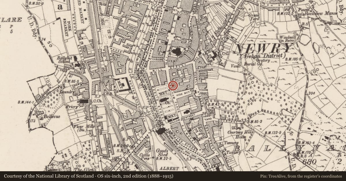Ordnance Survey six-inch map, 2nd edition (1888–1915) covering the location of 12 John Mitchel Place, Ballynacraig, Newry, Mourne and Down, with a pin at the register's coordinates
