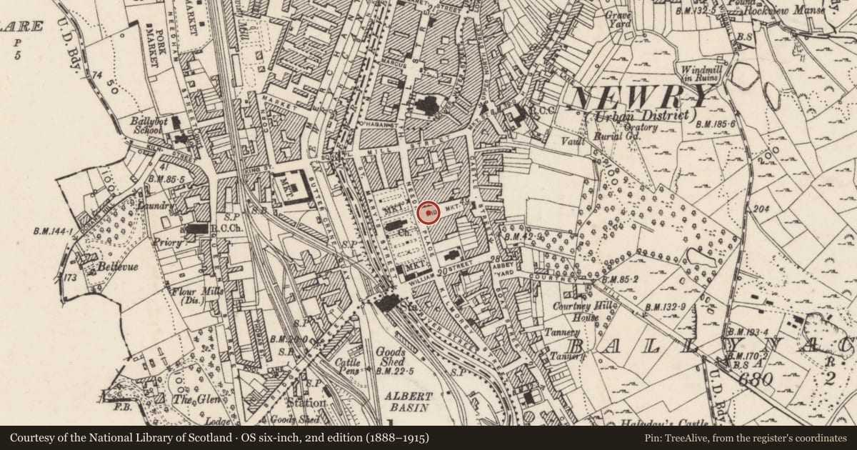 Ordnance Survey six-inch map, 2nd edition (1888–1915) covering the location of Statue of John Mitchel, Ballynacraig, Newry, Mourne and Down, with a pin at the register's coordinates