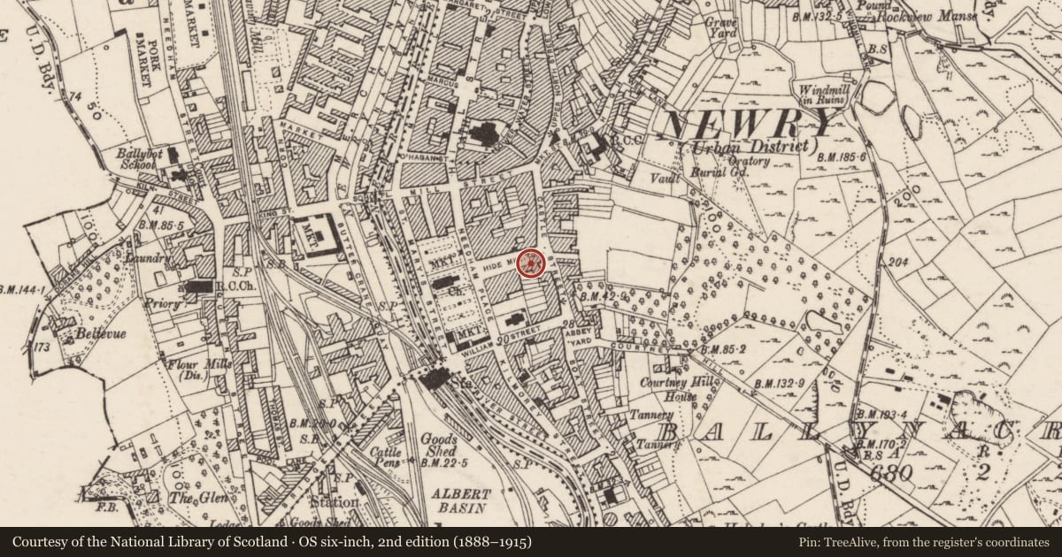 Ordnance Survey six-inch map, 2nd edition (1888–1915) covering the location of Old St. Colman’s Hall, Ballynacraig, Newry, Mourne and Down, with a pin at the register's coordinates