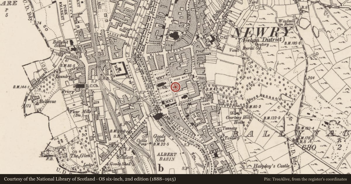 Ordnance Survey six-inch map, 2nd edition (1888–1915) covering the location of 6 & 8 John Mitchel Place, Ballynacraig, Newry, Mourne and Down, with a pin at the register's coordinates