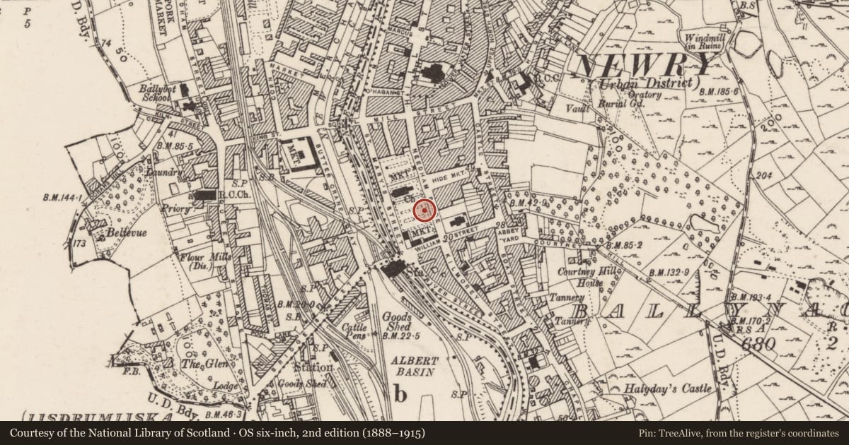 Ordnance Survey six-inch map, 2nd edition (1888–1915) covering the location of 1798 Memorial, Ballynacraig, Newry, Mourne and Down, with a pin at the register's coordinates