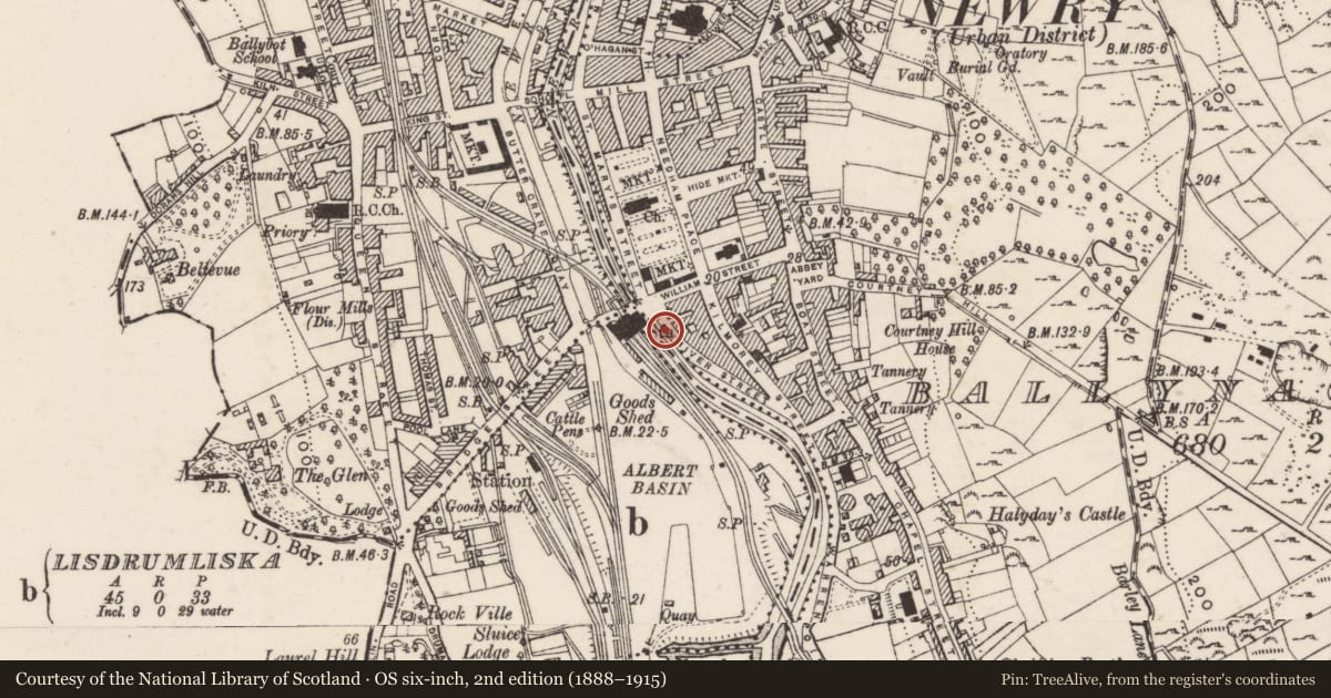 Ordnance Survey six-inch map, 2nd edition (1888–1915) covering the location of 1, 2 & 2a River Street, Ballynacraig, Newry, Mourne and Down, with a pin at the register's coordinates