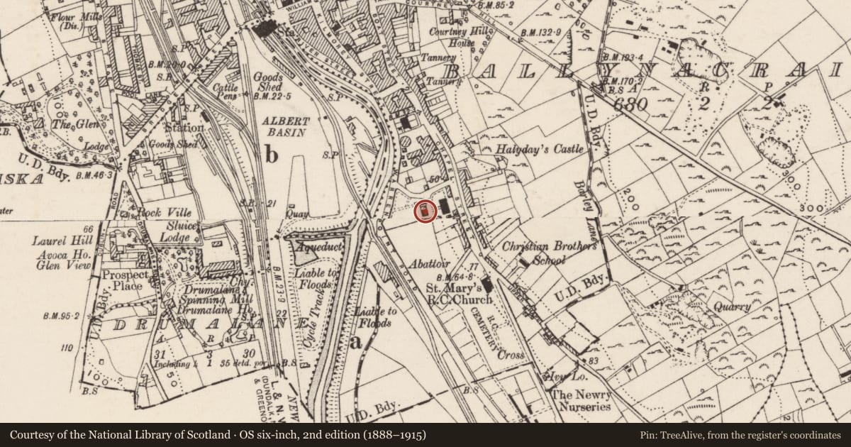 Ordnance Survey six-inch map, 2nd edition (1888–1915) covering the location of Convent of Mercy, Ballynacraig, Newry, Mourne and Down, with a pin at the register's coordinates