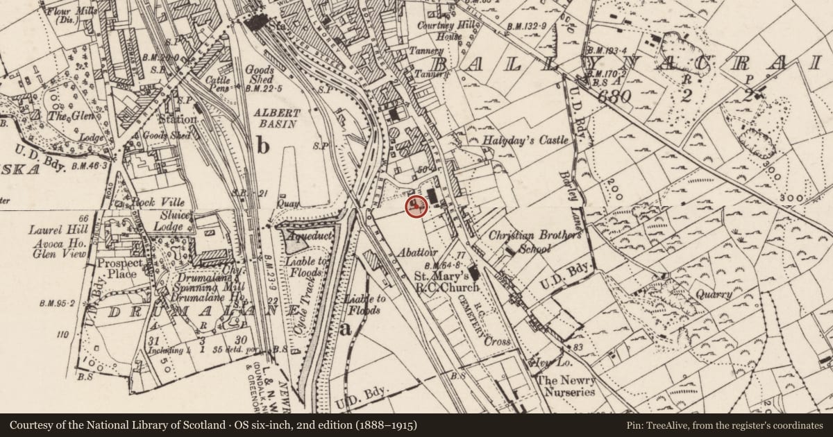 Ordnance Survey six-inch map, 2nd edition (1888–1915) covering the location of Chapel at Convent of Mercy (RC), Ballynacraig, Newry, Mourne and Down, with a pin at the register's coordinates