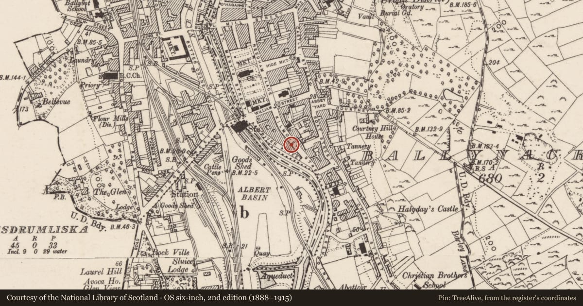 Ordnance Survey six-inch map, 2nd edition (1888–1915) covering the location of 41 Kilmorey Street, Ballynacraig, Newry, Mourne and Down, with a pin at the register's coordinates