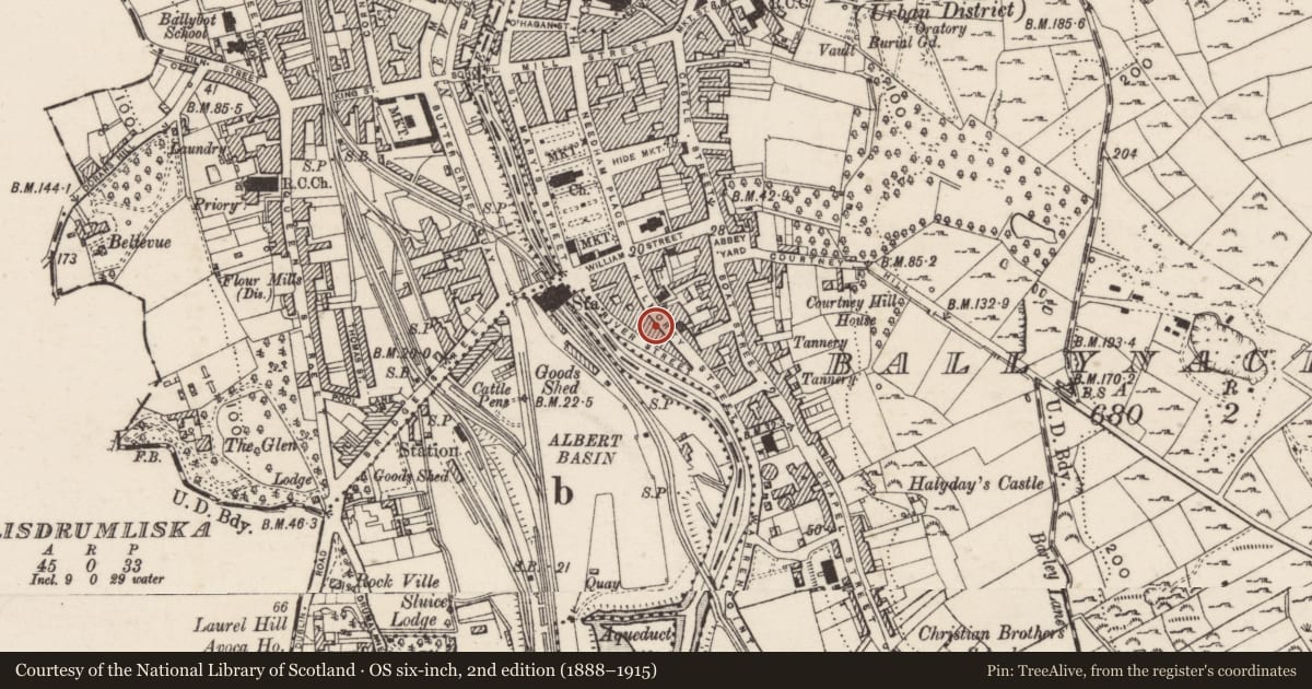 Ordnance Survey six-inch map, 2nd edition (1888–1915) covering the location of 33 Kilmorey Street, Ballynacraig, Newry, Mourne and Down, with a pin at the register's coordinates
